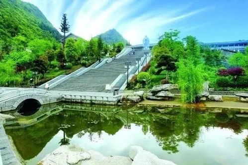 数说花溪五年发展 国内旅游业务迈向新高度