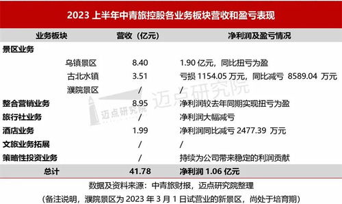 2023上半年文旅集团财务分析报告 国内旅游业务稳健复苏与结构性分化